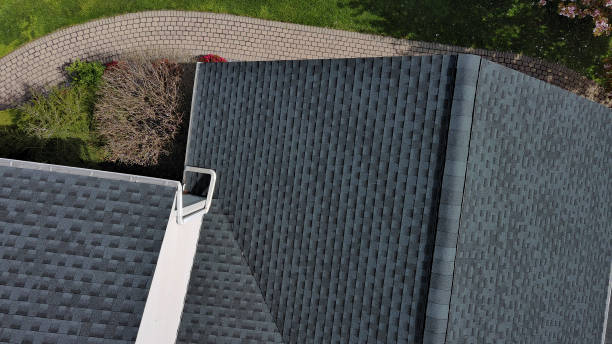 Best Roof Coating and Sealing  in Comstock Park, MI