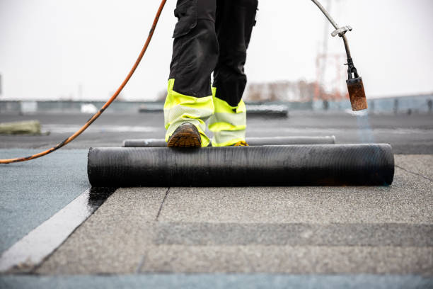 Best Skylight Installation and Repair  in Comstock Park, MI
