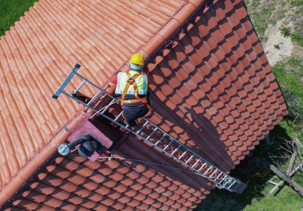 Best Chimney Flashing Repair  in Comstock Park, MI